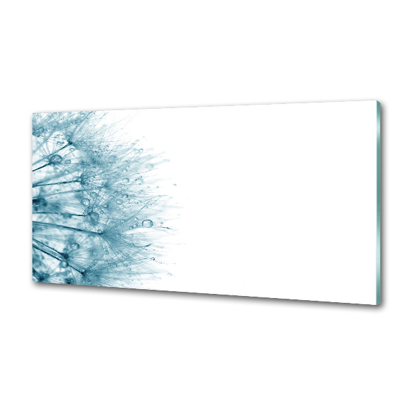 Dekorační panel sklo Pampeliška