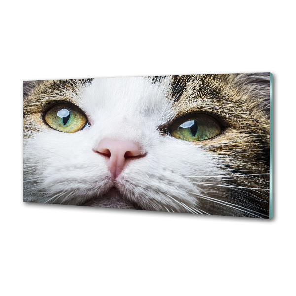 Panel do kuchyně Zelené kočičí oči