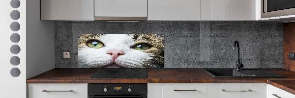 Panel do kuchyně Zelené kočičí oči