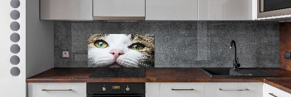 Panel do kuchyně Zelené kočičí oči
