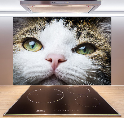 Panel do kuchyně Zelené kočičí oči