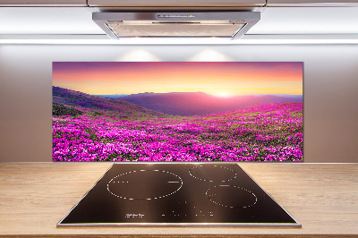 Panel do kuchyně Růžové kopce