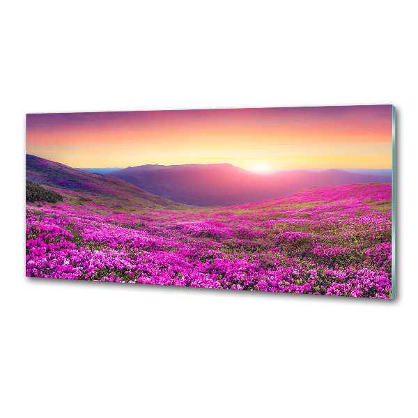 Panel do kuchyně Růžové kopce