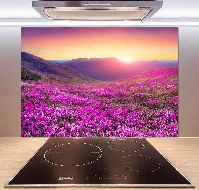 Panel do kuchyně Růžové kopce