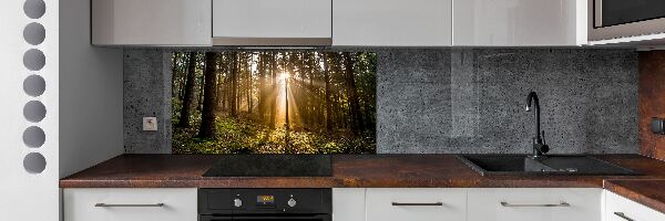 Panel do kuchyně Sluneční světlo