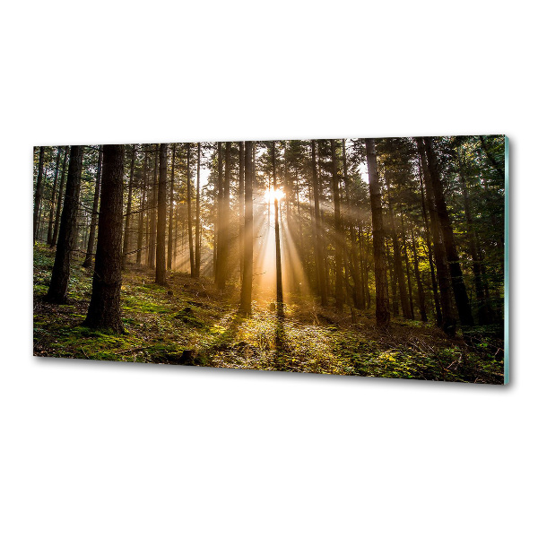 Panel do kuchyně Sluneční světlo