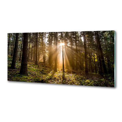 Panel do kuchyně Sluneční světlo