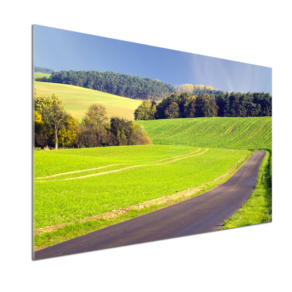 Dekorační panel sklo Plní cesta