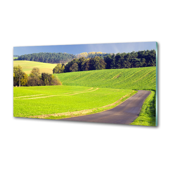 Dekorační panel sklo Plní cesta