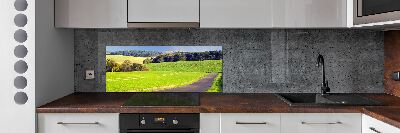Dekorační panel sklo Plní cesta