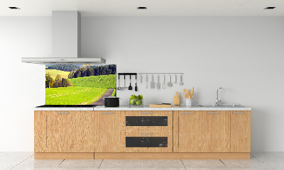 Dekorační panel sklo Plní cesta