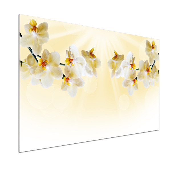 Skleněný panel do kuchynské linky Orchidej