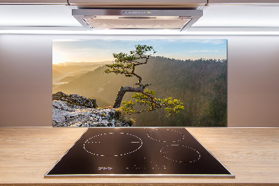 Panel do kuchyně Sokolice Pieniny