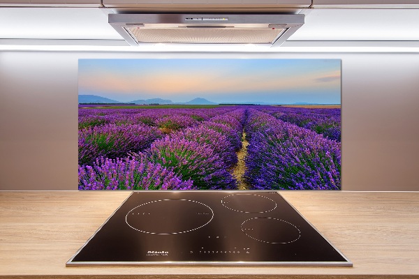 Dekorační panel sklo Pole levandule