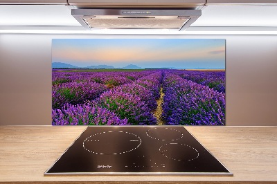 Dekorační panel sklo Pole levandule