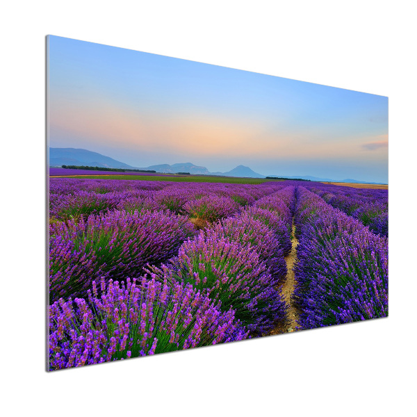 Dekorační panel sklo Pole levandule
