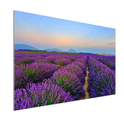 Dekorační panel sklo Pole levandule