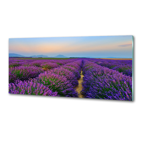 Dekorační panel sklo Pole levandule