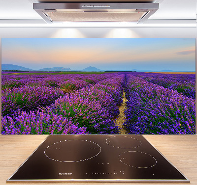 Dekorační panel sklo Pole levandule
