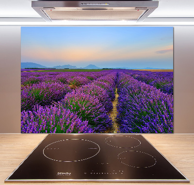Dekorační panel sklo Pole levandule