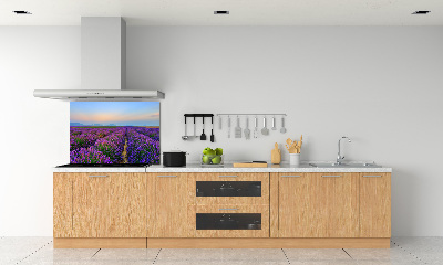 Dekorační panel sklo Pole levandule