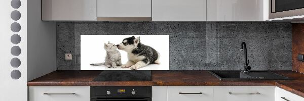 Dekorační panel sklo Pes a kočka