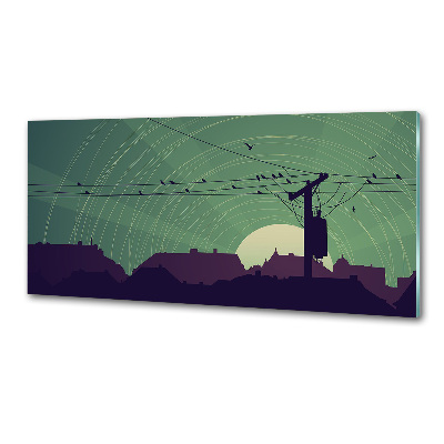 Dekorační panel sklo Ptáci město