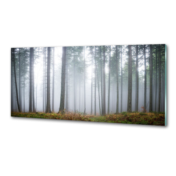 Dekorační panel sklo Mlha v lese