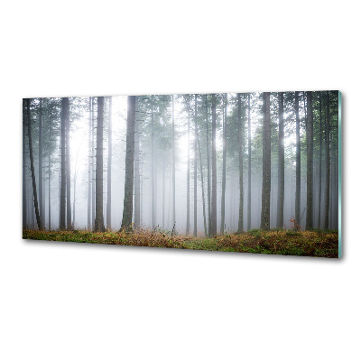 Dekorační panel sklo Mlha v lese