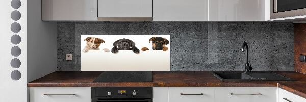 Panel do kuchyně Tři štěňátka