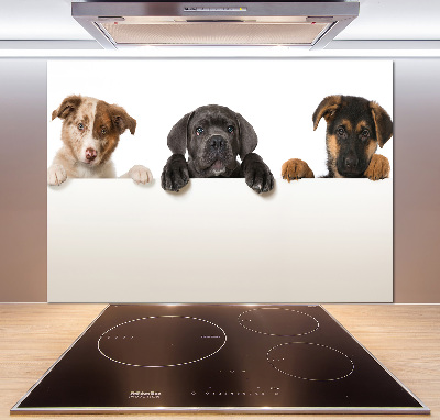 Panel do kuchyně Tři štěňátka