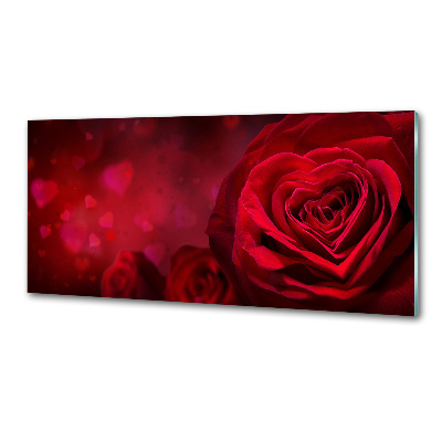 Panel lacobel Červená růže srdce