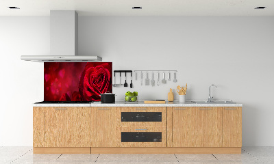 Panel lacobel Červená růže srdce