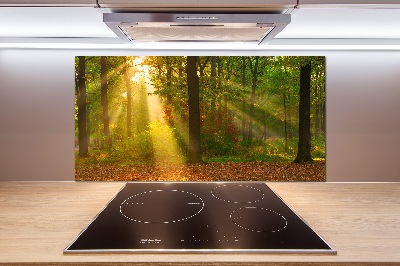 Dekorační panel sklo Les slunce