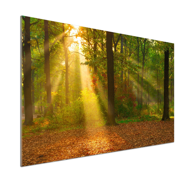 Dekorační panel sklo Les slunce