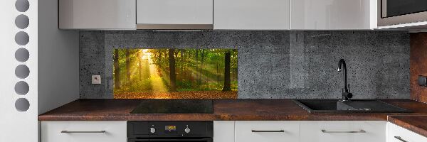 Dekorační panel sklo Les slunce
