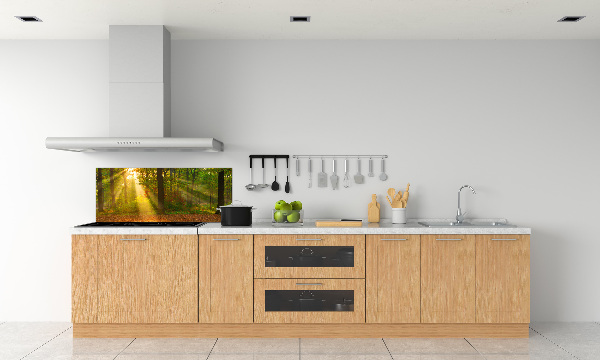 Dekorační panel sklo Les slunce