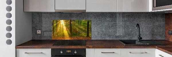 Dekorační panel sklo Les slunce