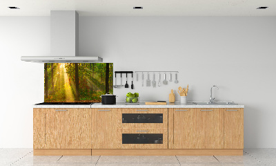 Dekorační panel sklo Les slunce