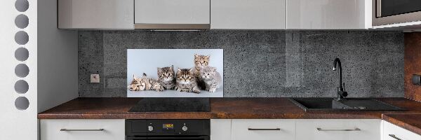 Dekorační panel sklo Pět koček