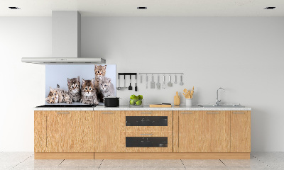 Dekorační panel sklo Pět koček