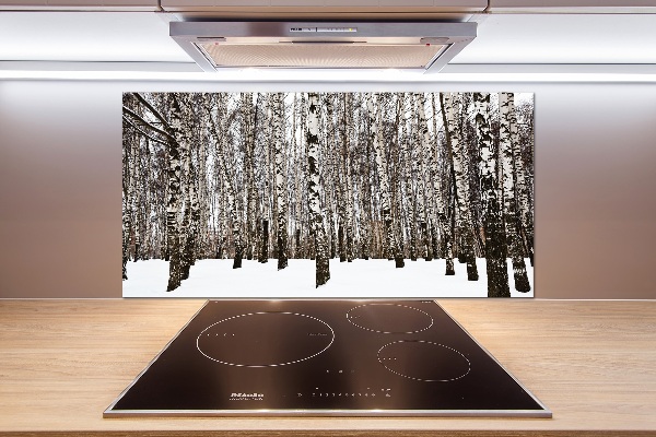 Dekorační panel sklo Břízy zima