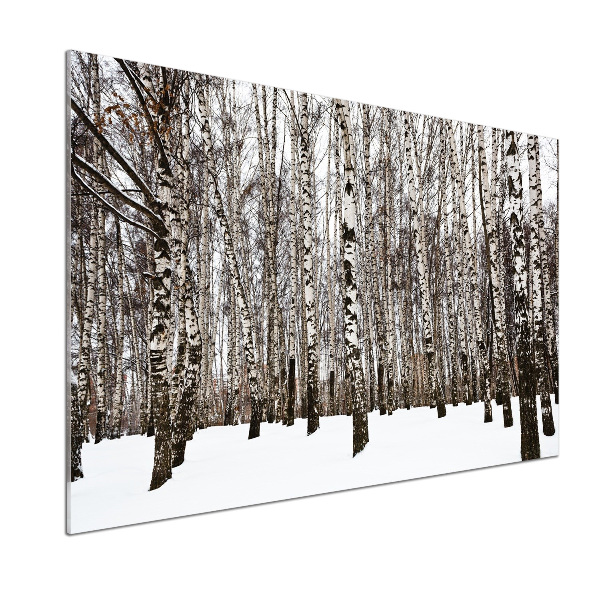Dekorační panel sklo Břízy zima