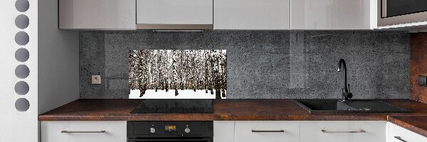 Dekorační panel sklo Břízy zima