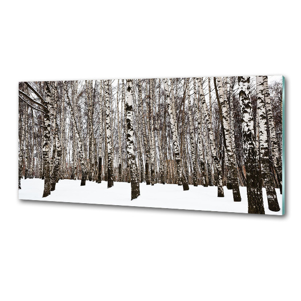Dekorační panel sklo Břízy zima