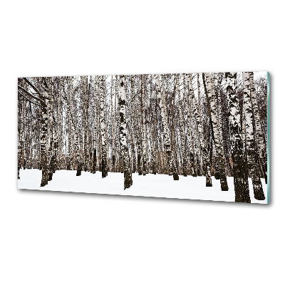 Dekorační panel sklo Břízy zima