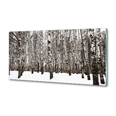 Dekorační panel sklo Břízy zima