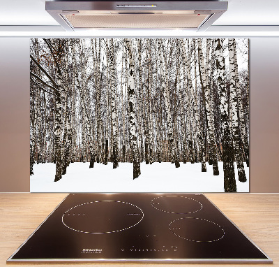 Dekorační panel sklo Břízy zima