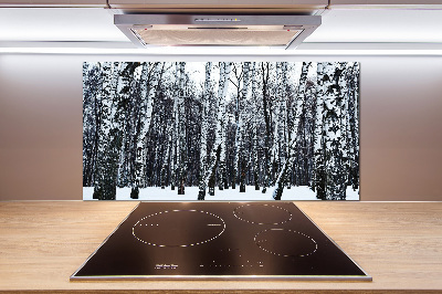Dekorační panel sklo Břízy zima