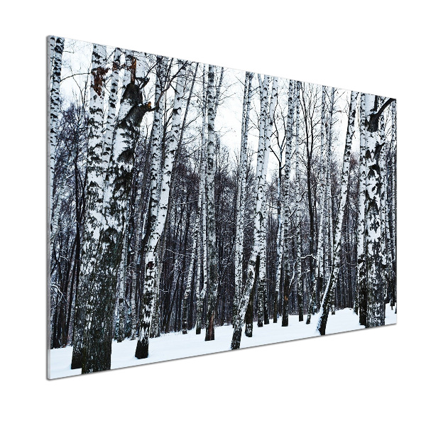 Dekorační panel sklo Břízy zima